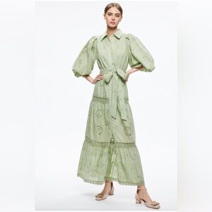 Alice + Olivia Lilly Collared Eyelet Maxi Dress - Sage Green, Size 0